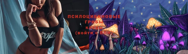 мдпв Жердевка