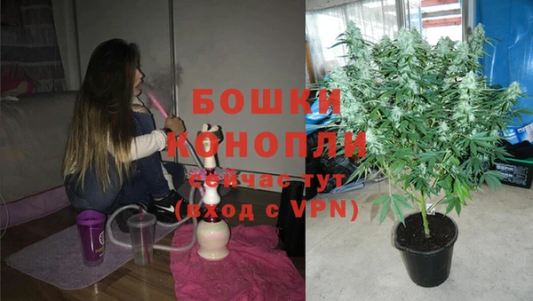 спиды Бородино