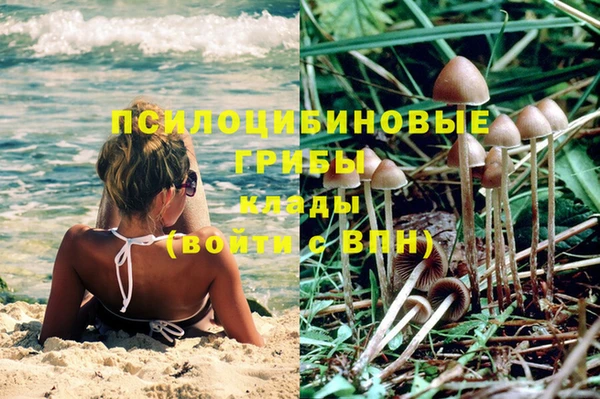 спиды Бородино
